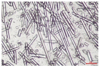 Figure 30