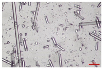 Figure 31