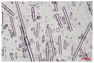 Figure 32