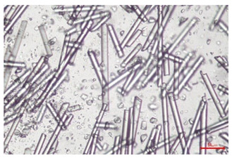 Figure 33