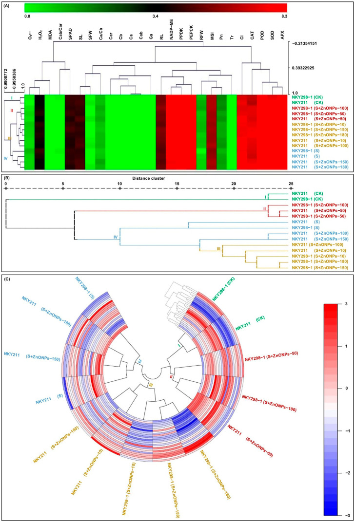 Figure 6