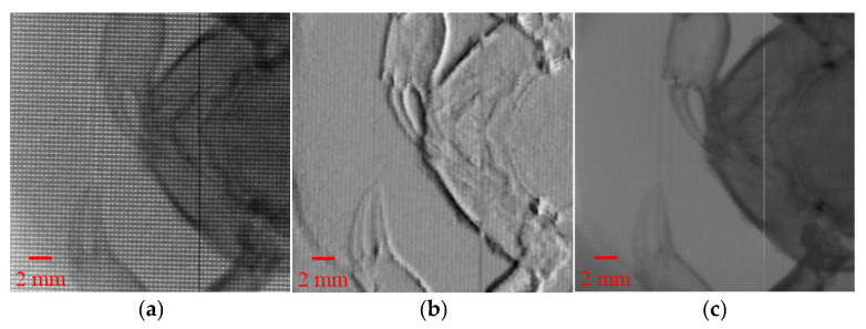Figure 4
