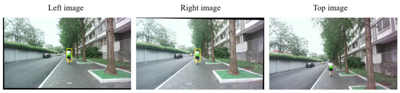 Figure 12