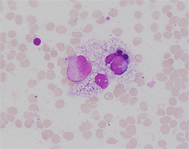 Figure 5