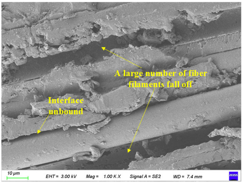 Figure 21