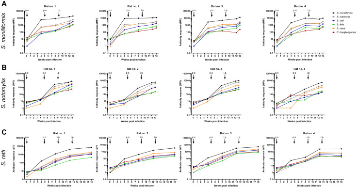 Fig 4