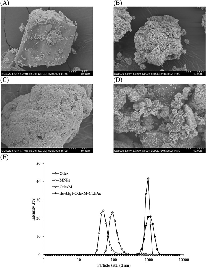 Fig 6