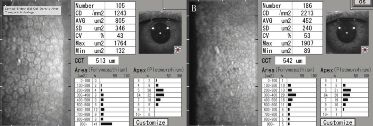 Figure 5
