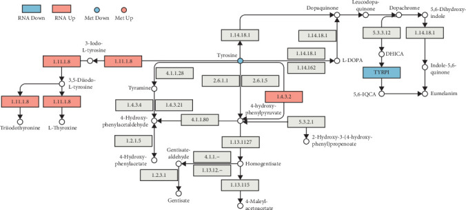 Figure 13