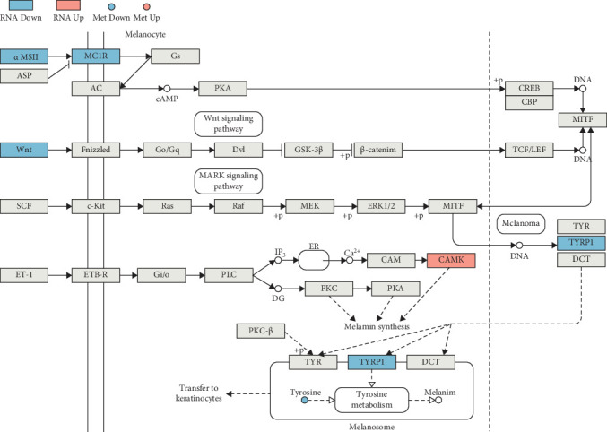 Figure 14