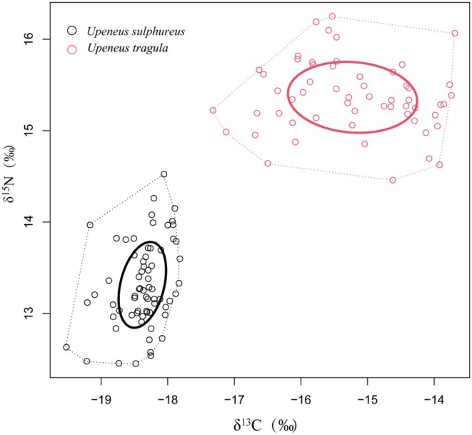 FIGURE 3