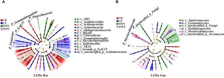Figure 6