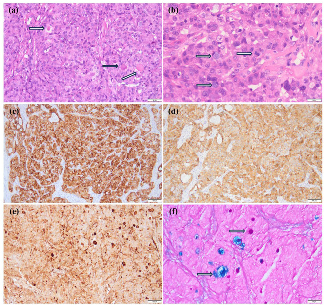 Figure 3
