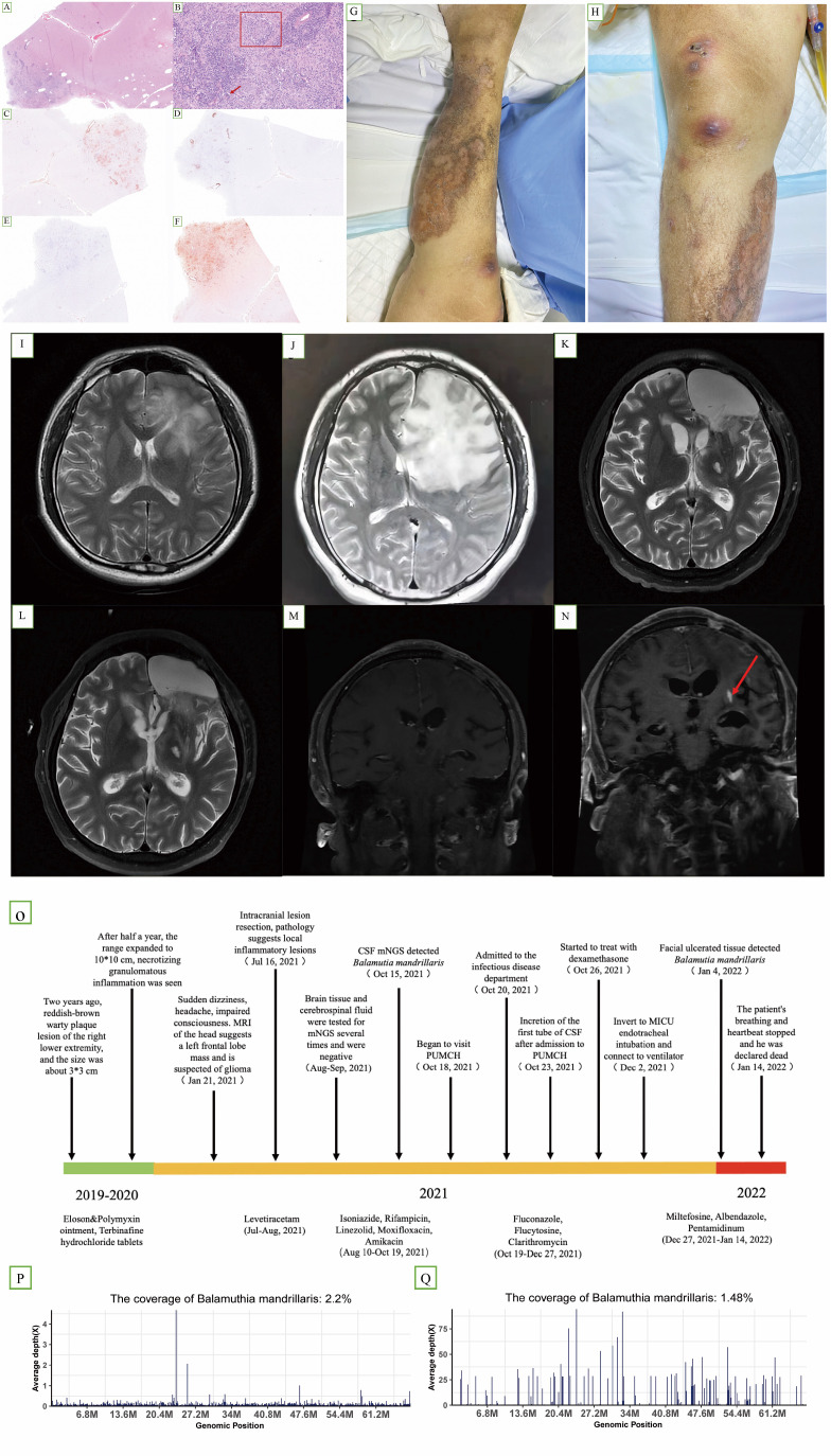 Figure 3
