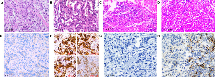 Figure 3