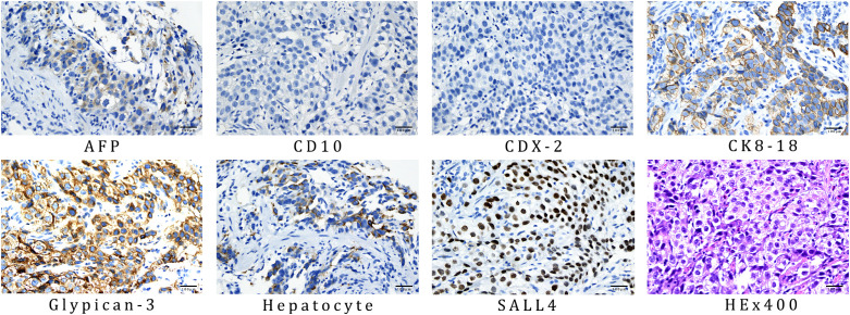Figure 4