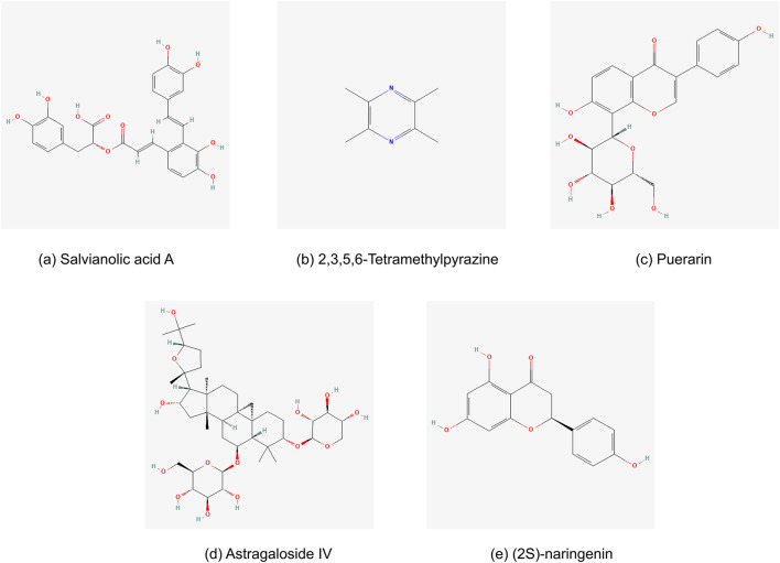 FIGURE 13