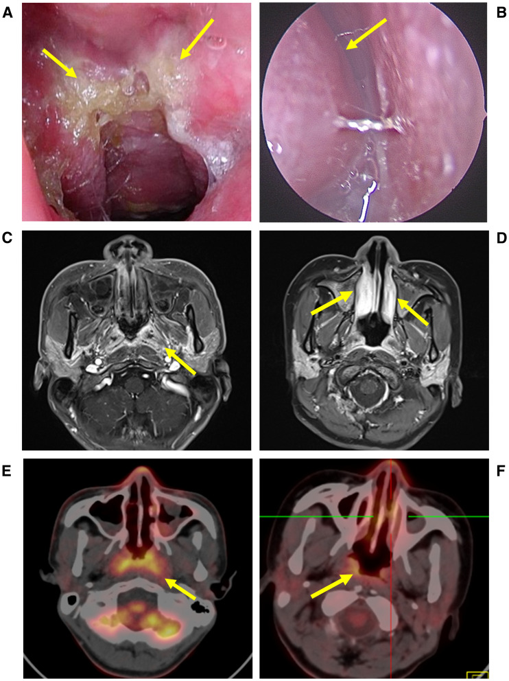 Figure 1