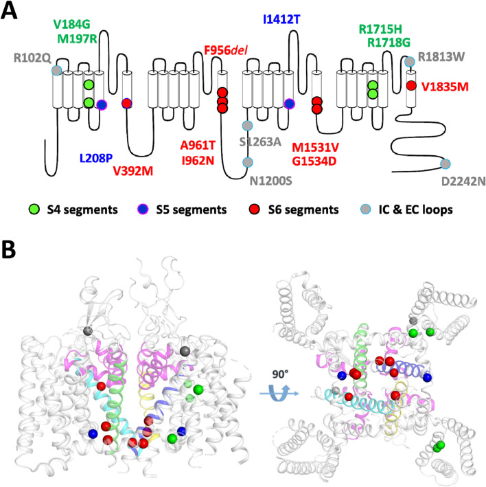 FIGURE 1
