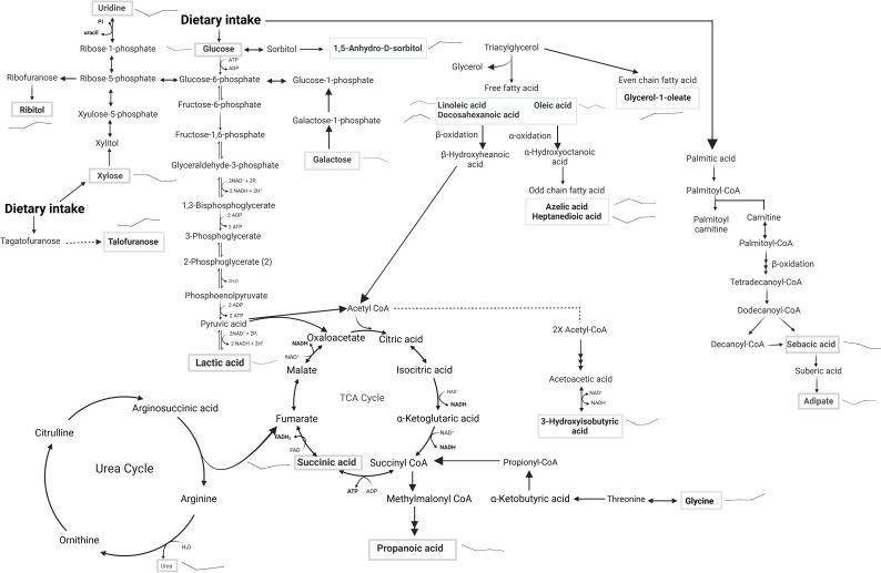 Figure 10