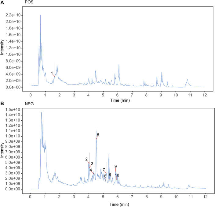 FIGURE 1