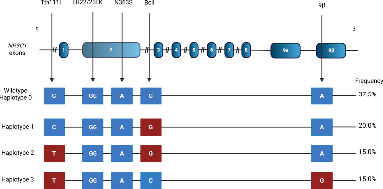 Figure 1