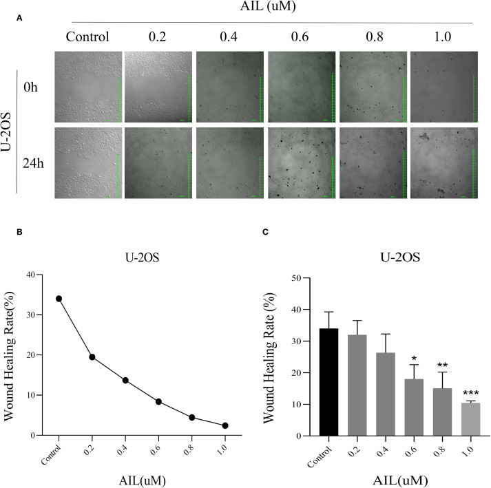 Figure 2