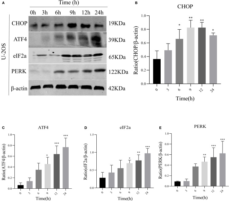 Figure 3