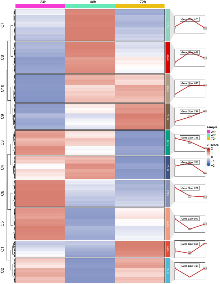 FIGURE 3