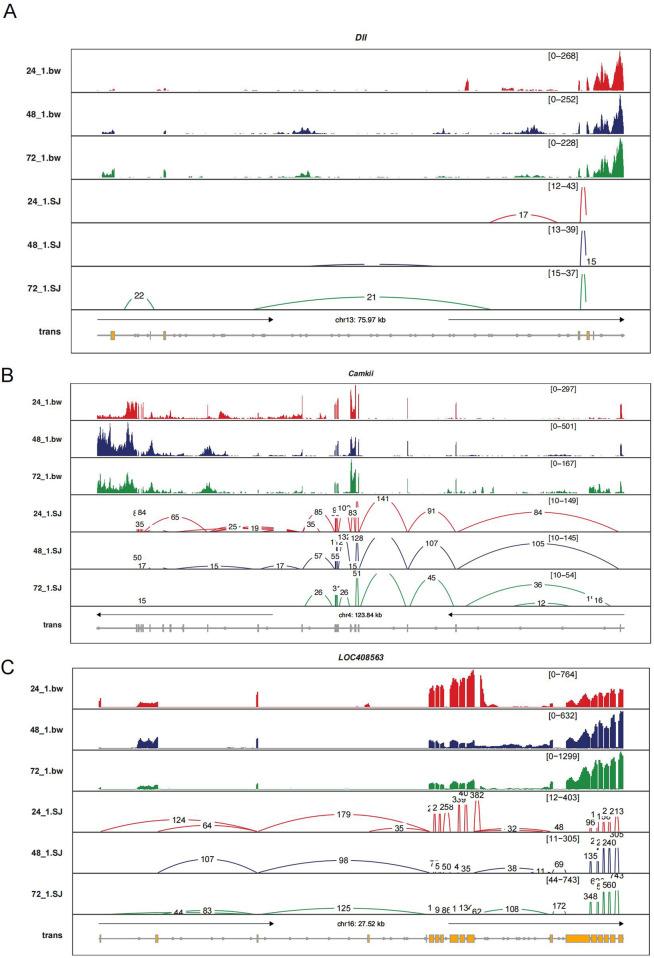 FIGURE 6
