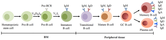 Figure 1