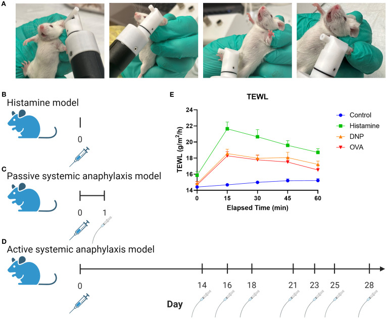 Figure 1