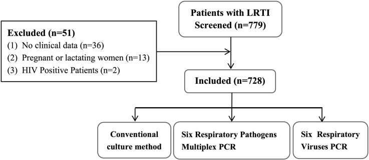 Figure 1