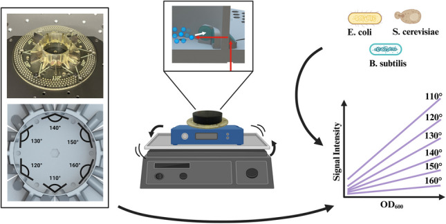 Figure 5