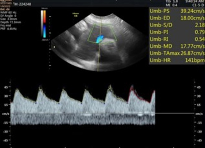 FIGURE 1