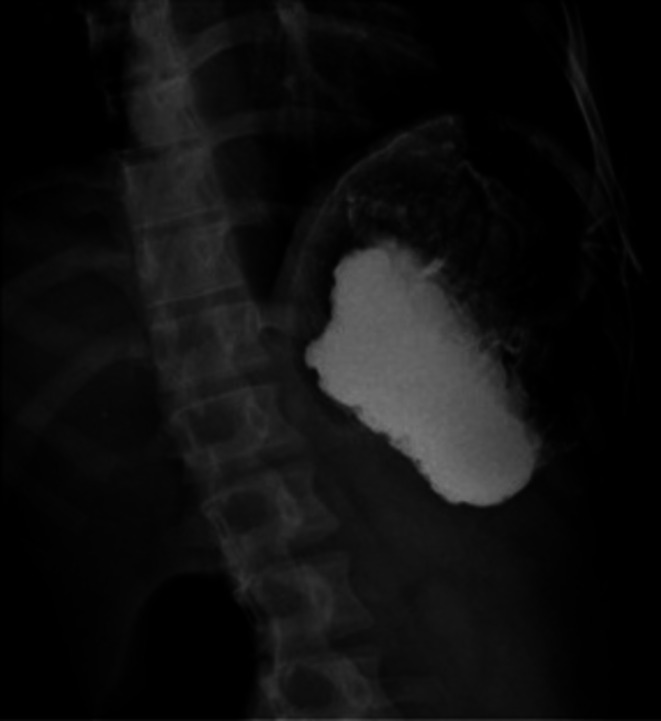 FIGURE 5