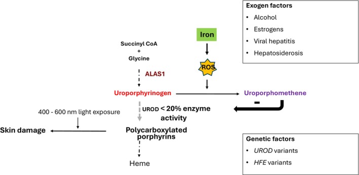 FIGURE 3