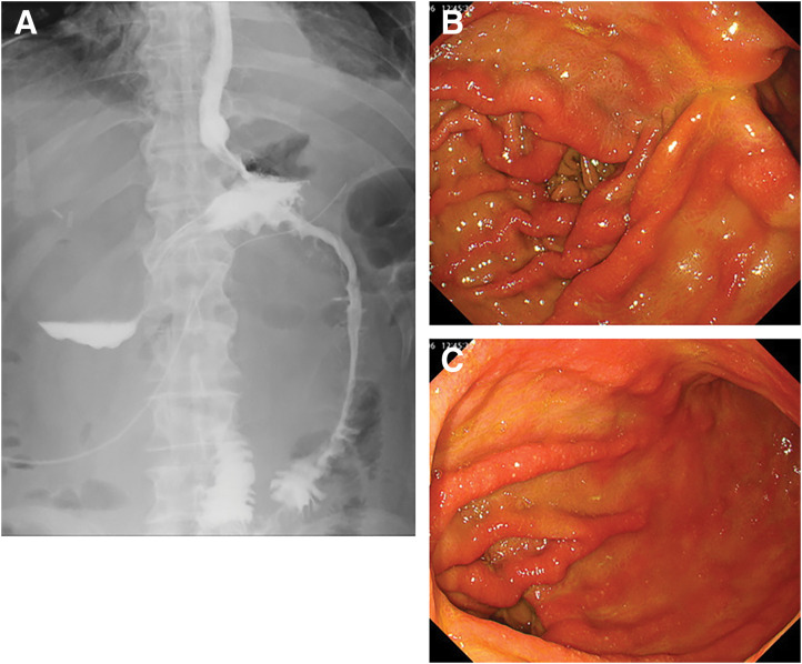 Fig. 4
