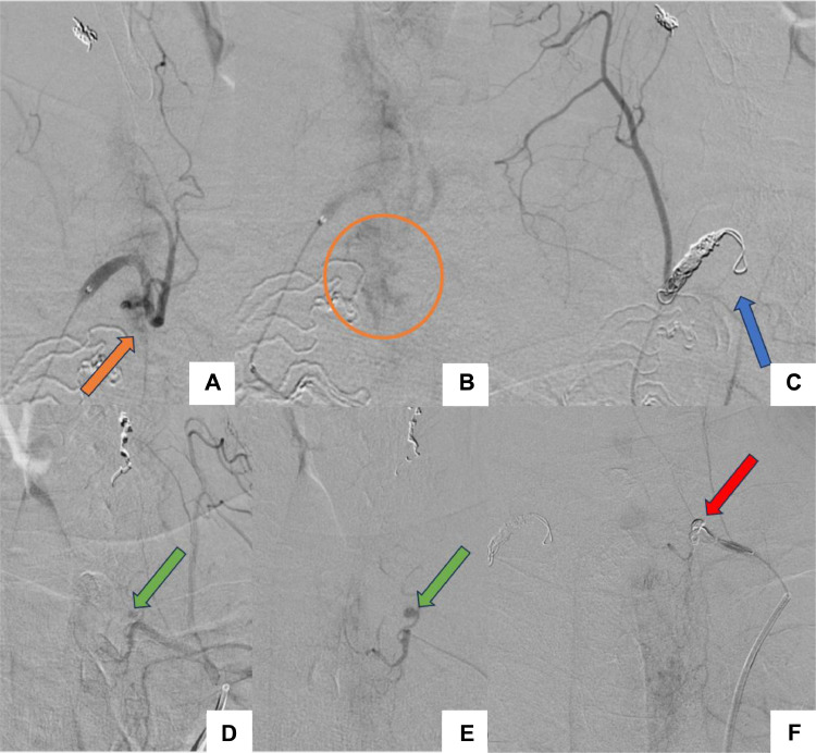 Figure 6