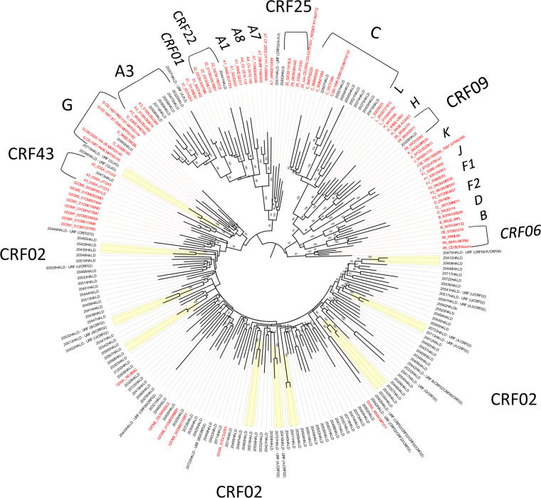 Figure 2