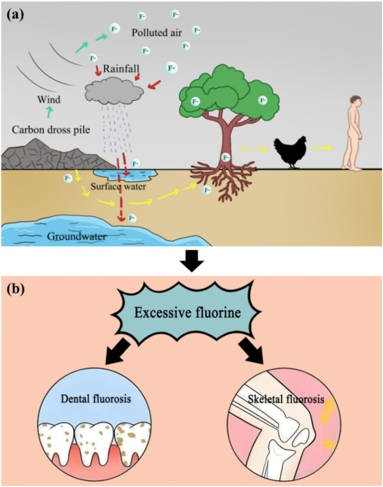 Fig. 4