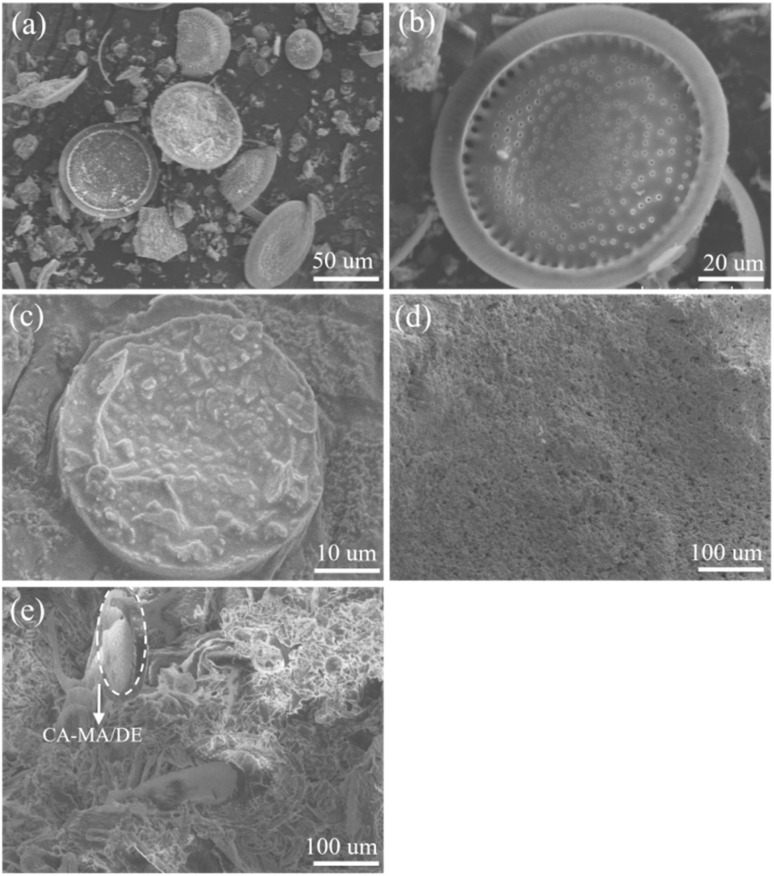 Fig. 10