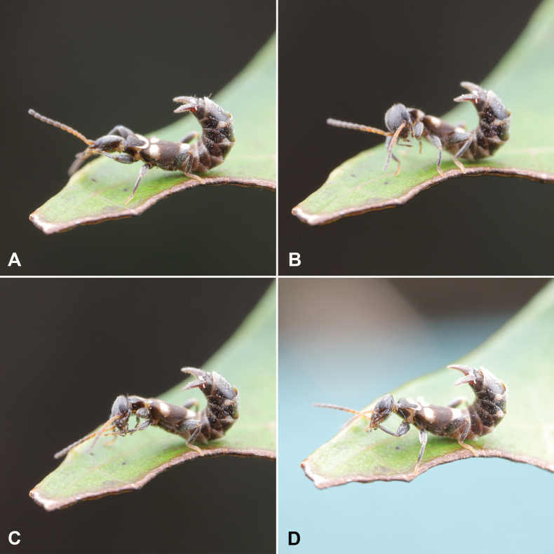 Figure 7