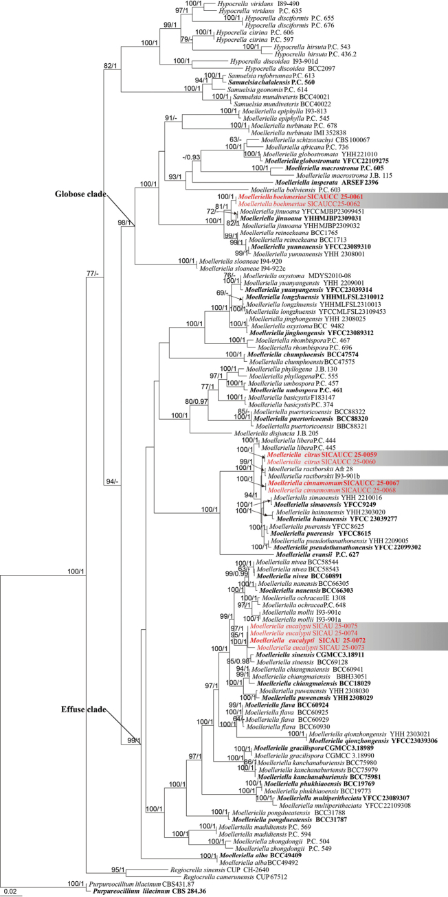 Figure 2