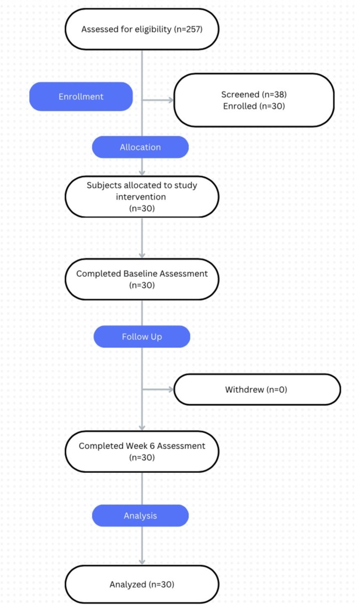 FIGURE 1