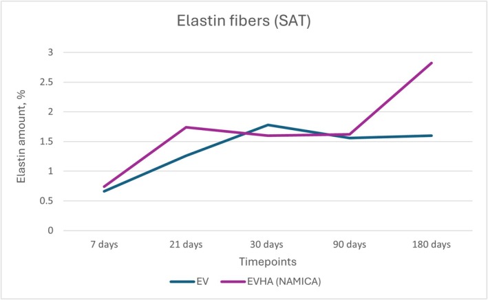 FIGURE 19