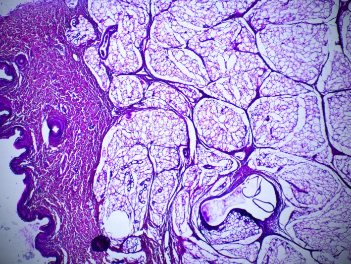 FIGURE 10