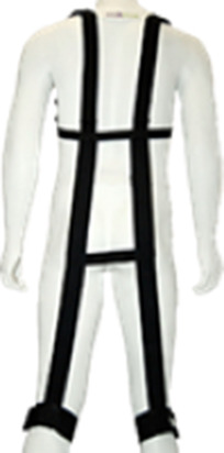 Figure 19