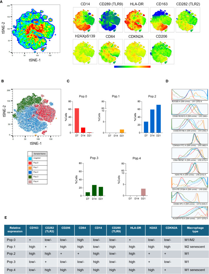 Figure 2