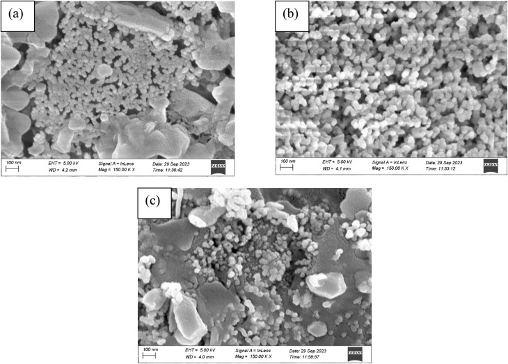 Fig. 8